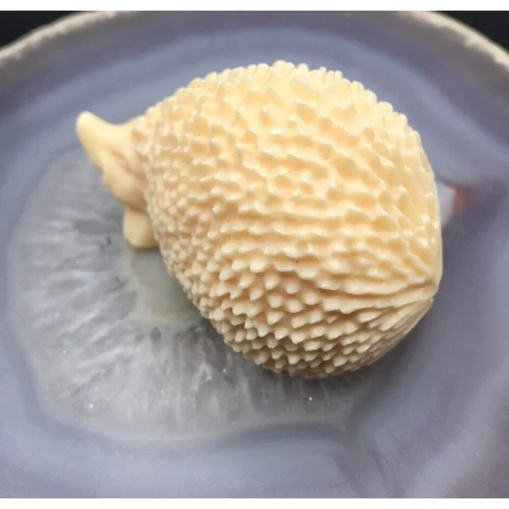 Adorable Hedgehog Carving
